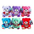 Colorful Gratitude Plush Bear & Button Closeout Bulk Price